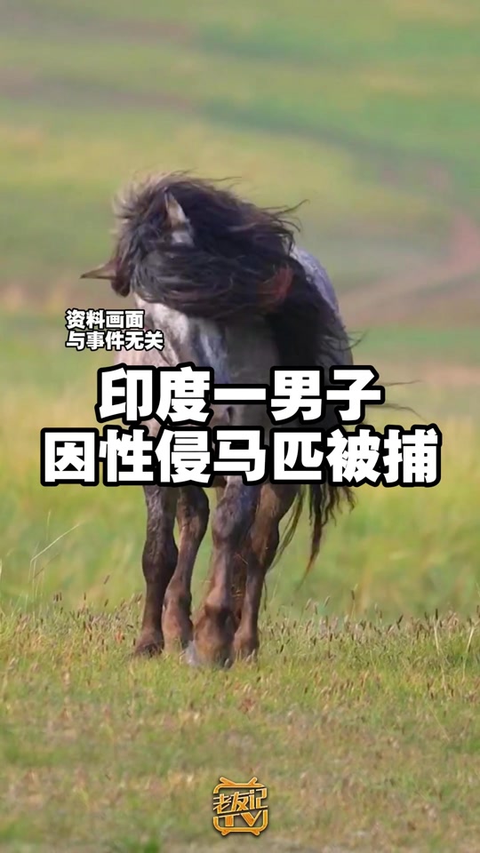 关于印度男子射箭表现抢眼，勇夺冠军的信息