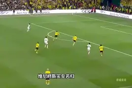 多特蒙德成功零封维尼修斯,门将赛后获得全场最佳的简单介绍 多特蒙德成功零封维尼修斯,门将赛后获得全场最佳的简单介绍